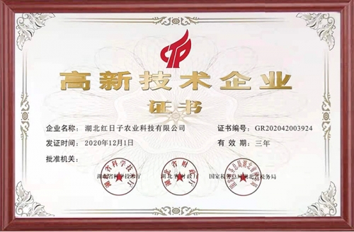 高新技術(shù)企業(yè)
