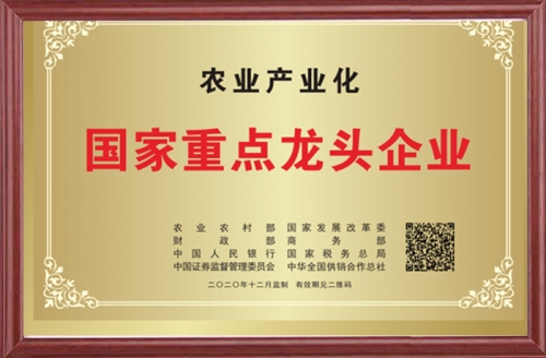 重點(diǎn)龍頭企業(yè)