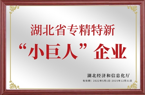 “小巨人”企業(yè)
